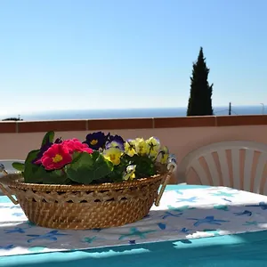 Stella , Lacona Italia